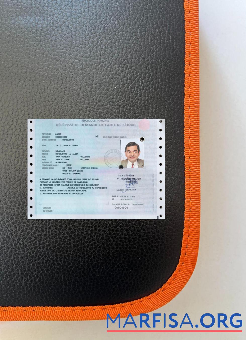 Blank French residence permit (carte de séjour) photolook example